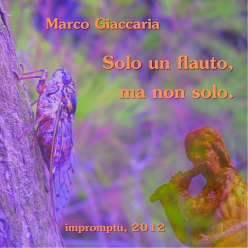 Marco Giaccaria - Solo un flauto, ma non solo. (cover)